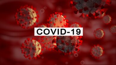 In 24 Hours, Macau Records 4 New Cases of Covid-19