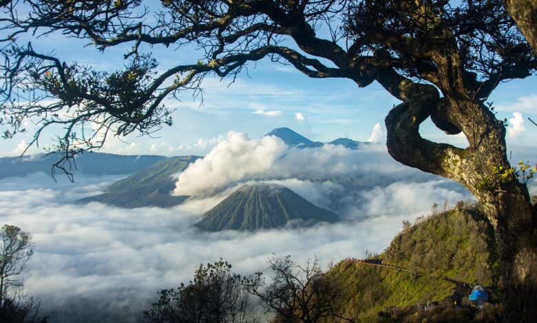 Indonesia is the most beautiful country in the world along with India, Japan, Italy, France
