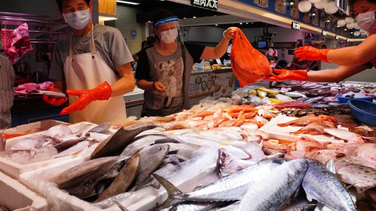 Warga Hong Kong Diimbau Tidak Sentuh Ikan Air Tawar dengan Tangan Kosong