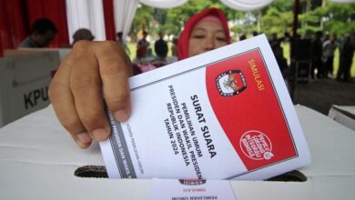 Indonesia's 2024 democracy party.