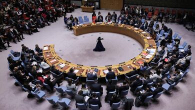 UNSC Issues Immediate Ceasefire Resolution in Gaza.