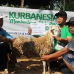 Jangan Lewatkan, Ini Keutamaan Berkurban