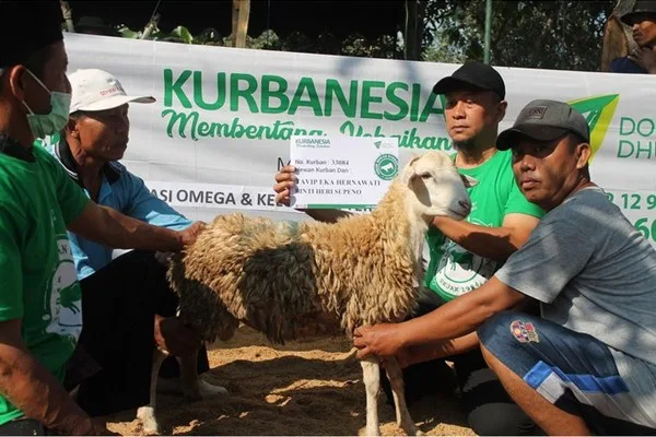 Jangan Lewatkan, Ini Keutamaan Berkurban