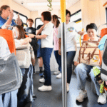 Mulai September Kucing dan Anjing Bisa Naik LRT Hong Kong Tiap Akhir Pekan dan Libur Nasional