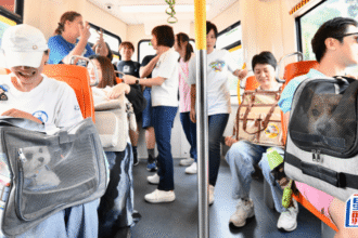 Mulai September Kucing dan Anjing Bisa Naik LRT Hong Kong Tiap Akhir Pekan dan Libur Nasional