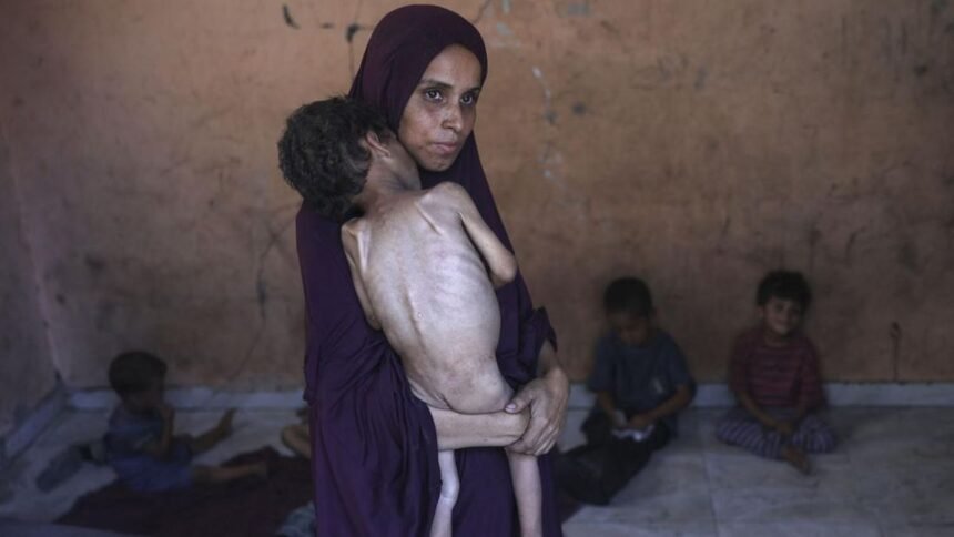 Resmi, PBB Nyatakan Bencana Kelaparan di Gaza (Foto CNN Indonesia)