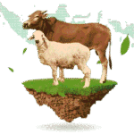 Ekonomi Sedang Sulit, Kurban Makin Dibutuhkan