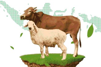 Ekonomi Sedang Sulit, Kurban Makin Dibutuhkan