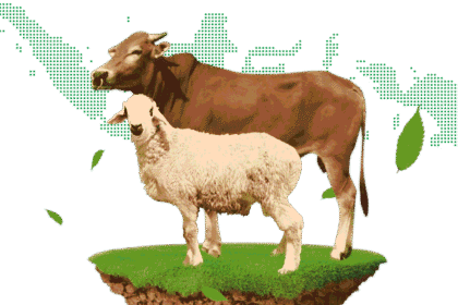 Ekonomi Sedang Sulit, Kurban Makin Dibutuhkan