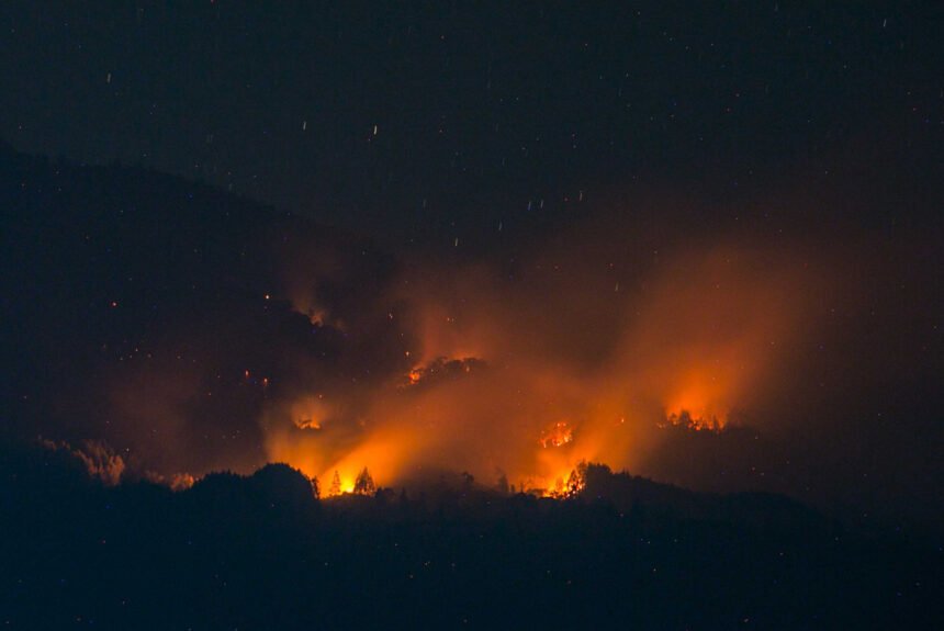 Setelah Bromo, Kebakaran Landa Gunung Sumbing, Lawu, Arjuno-Welirang